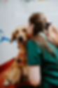 Wild-Veil-Photo-June-2026-Flagstaff-Veterinary-Clinic-Emergency-Urgent-Care-40.jpg
