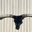 Thumbnail: Glass Real Texas Longhorn Skull 79" Wide