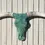Thumbnail: Glass Real Longhorn Skull 72" Wide