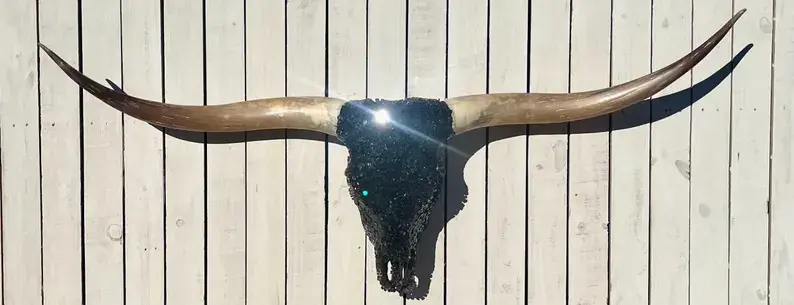 Glass Real Longhorn Skull 68" Wide