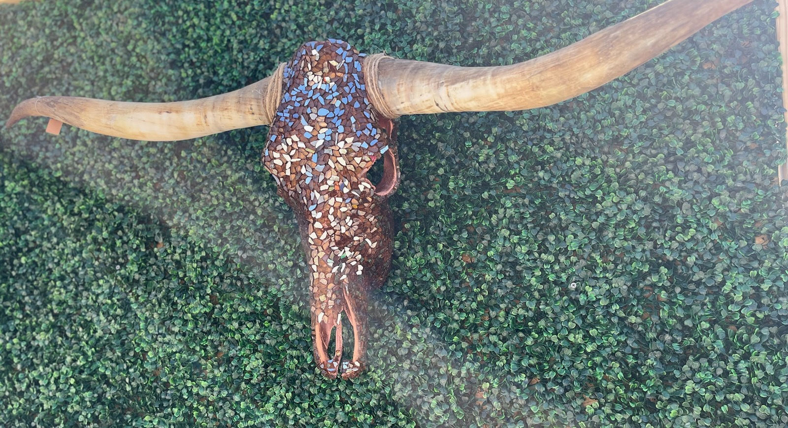 Mid-horn Collection Copper Cow Skull