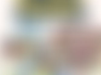 Joyful Learning Begins at Bamhni Toy Library.