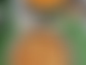 Festive Annadanam in Village Chawar - Kanauli