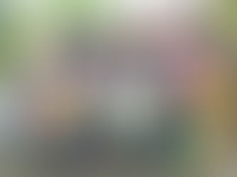 Learning with Laughter and Love At Dodiyatola School , Madhay Pradesh.