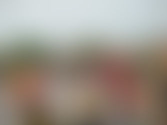 ✨🧘🏻‍♀️Celebrating  Yoga Day at Our  different  Centers.🧘🏻‍♂️✨