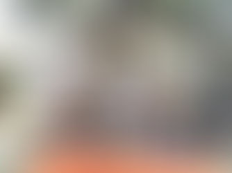 A New Chapter of Joy and Learning: Toy Library in Kishanganj, Bihar.