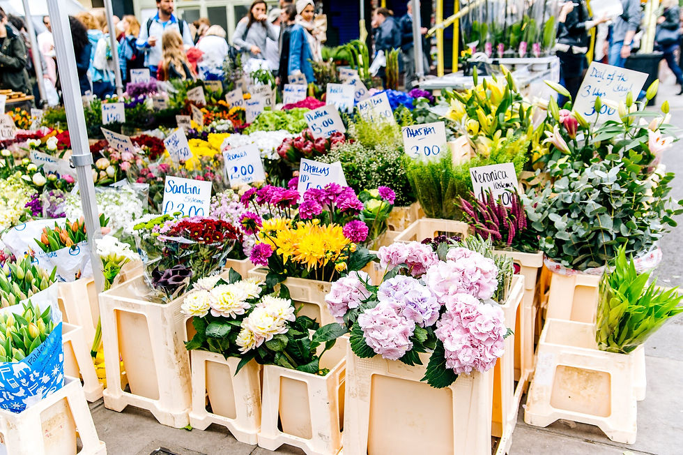 Meet me at the Lexington Farmers Market!