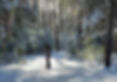 higley-flow-new-york-xc-ski-photo-R-Blackmer2-d1669612-66bb-4b21-9583-ddc290353ec0-landsca