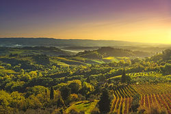Panoramic view of countryside and chianti vernaccia vineyards from San Gimignano on sunrise. Tuscany, Italy, Europe.