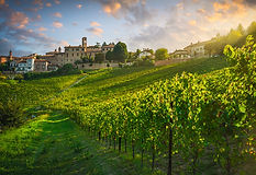 Neive village and Langhe vineyards, Unesco Site, Piedmont, Italy Europe.
