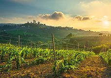 Un magico tramonto sui vigneti delle campagne che circondano San Gimignano con lo skyline del borgo sullo sfondo.