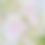 Thumbnail: Ornament