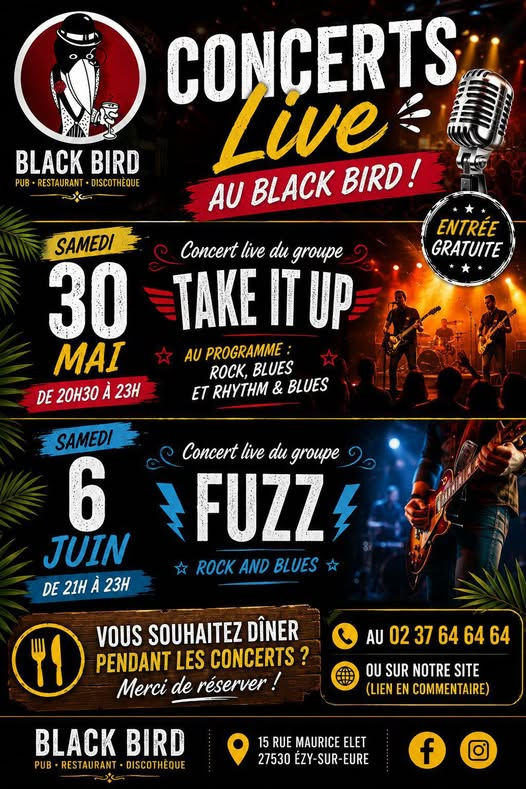 concert pop / rock