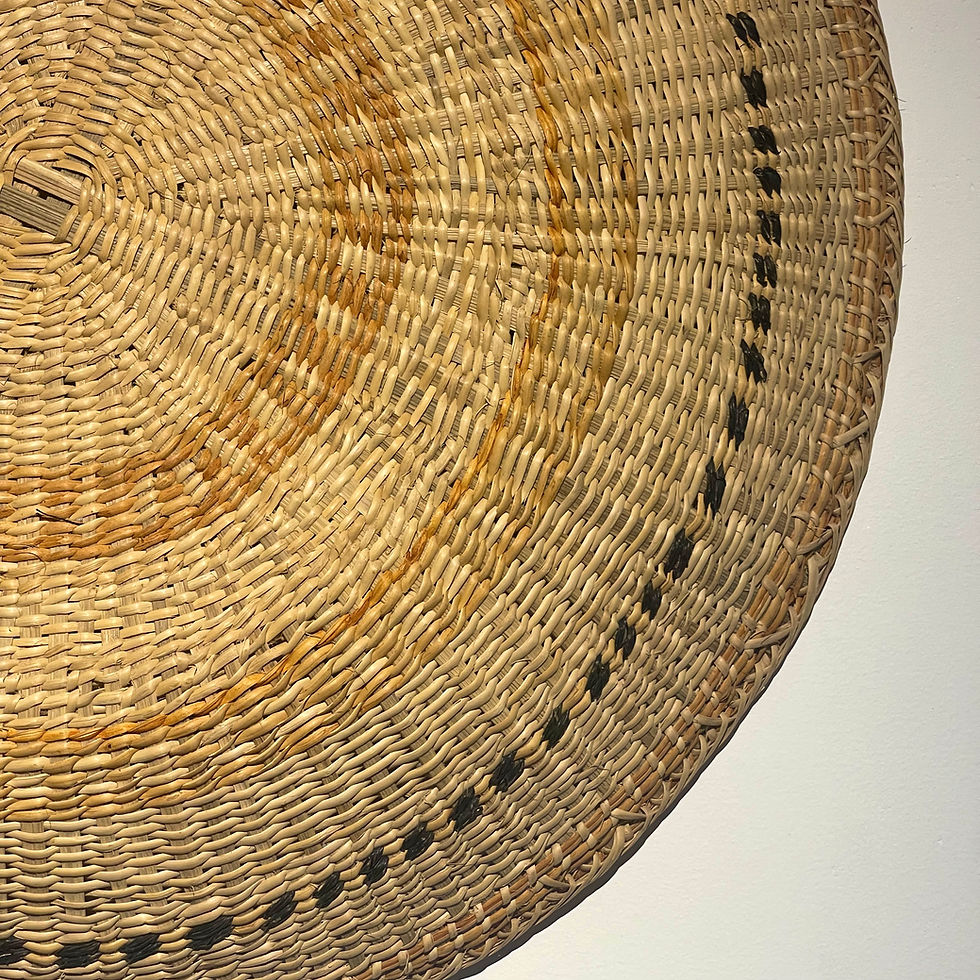 Miniatura: Cesto | Yanomami