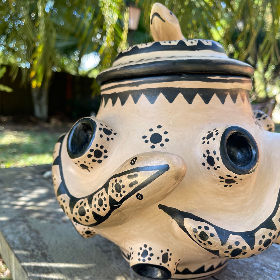 Miniatura: Yerupoho | Waurá
