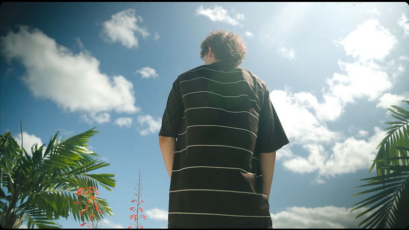 COMO SALSA EN EL FANGO STILL