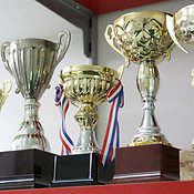 Collection Of Trophies