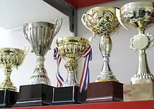 Collection Of Trophies
