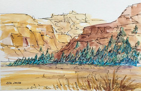 The Golds and Browns of Winter, watercolor and ink, 9x6, $50
SOLD