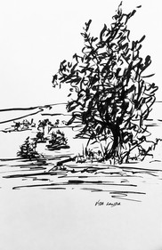 Along the Yellowstone, ink, 5.5x8.5, $40