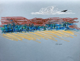 Fly Over, oil pastel, 11.25x9, $60