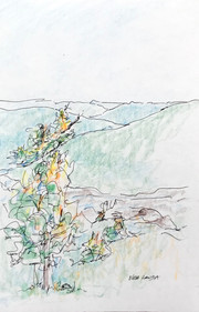 ...and the colors of autumn emerge., colored pencil and ink, 5.5x8.5, $40