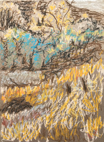 Grassy Hillside, oil pastel on cardboard, 9x12, $75