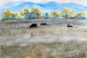 Queit Pasture, watercolor, 9x6, $60