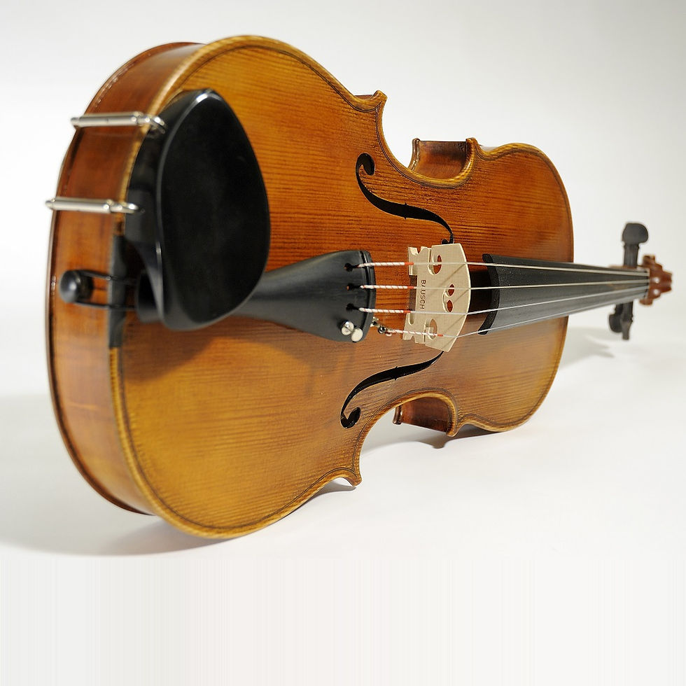 Schülerviola Vorderseite klein