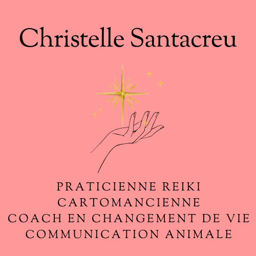 News logo christelle santacreu (2).png