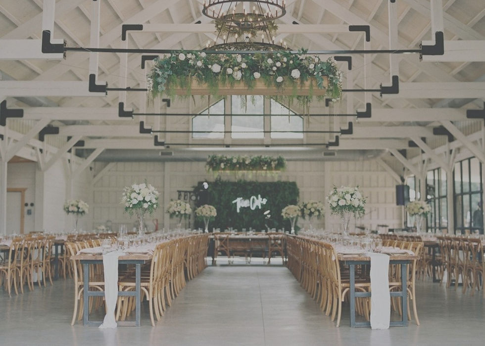 meadows inside _edited.jpg