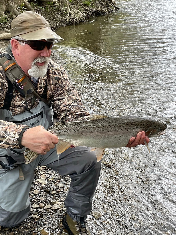 Trout