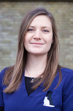 Anne Sofie Nybrovej Dyreklinik