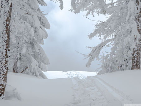 Rain And Snow Screensaver [32|64bit]