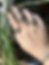 Thumbnail: The Weaver Ring