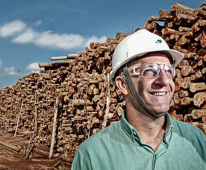 Retrato de trabalhador da indústria de papel e celulose sorrindo e olhando para cima, usando capacete de proteção branco e óculos de segurança, com uma grande pilha de toras de madeira ao fundo.