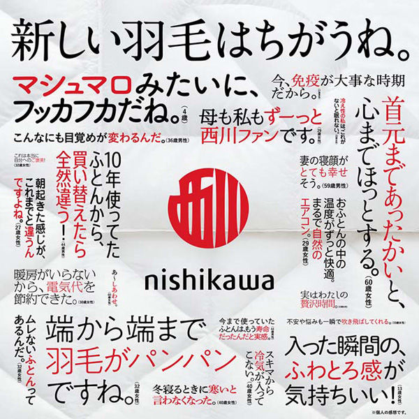 サムネイル： 羽毛布団 西川 ダブル 西川プレミアム NP7052 グランポリゴンキルト グース ダウン93% フェザー7% 日本製 羽毛掛け布団 ポーランドホワイトグース