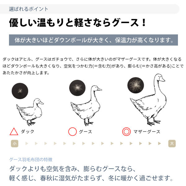 サムネイル： 羽毛布団 西川 ダブル 西川プレミアム NP7052 グランポリゴンキルト グース ダウン93% フェザー7% 日本製 羽毛掛け布団 ポーランドホワイトグース