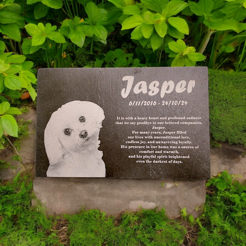 Pet Memorial Cremation Services For Animals Near Me Pet Cremation