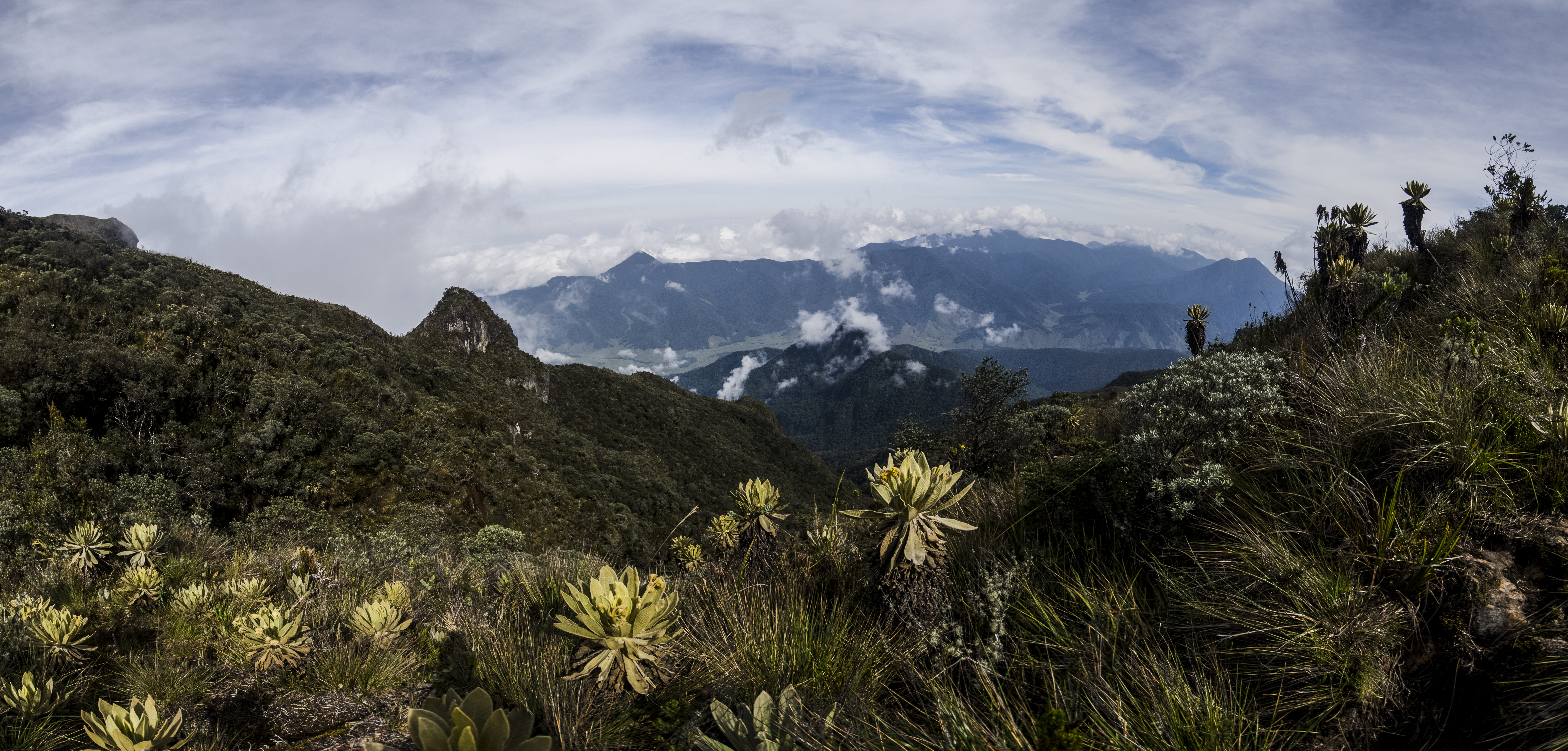 Viaje al Paramo del Sol