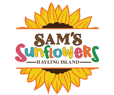 sams sunflowers transparent.png