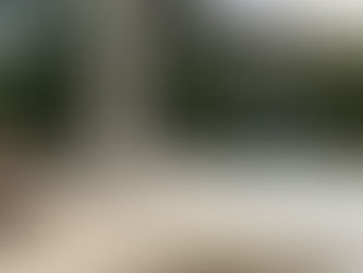 やっとお参りできた出雲大社~出雲松江旅行記4