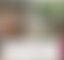 En Cosalá, el Grupo Interinstitucional localizó y destruyó 3 plantíos de marihuana con una dimensión total de 1,100 m²