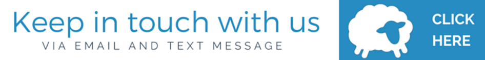 Website-banner-horizontal-white.png