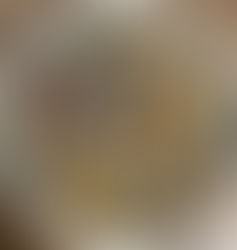 The Chestnut Bolete (Gyroporus Genus)