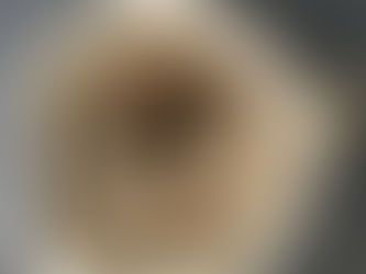 Morel Bisque