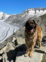 WhatsApp Image 2022-08-02 at 16.31.59 (1).jpeg