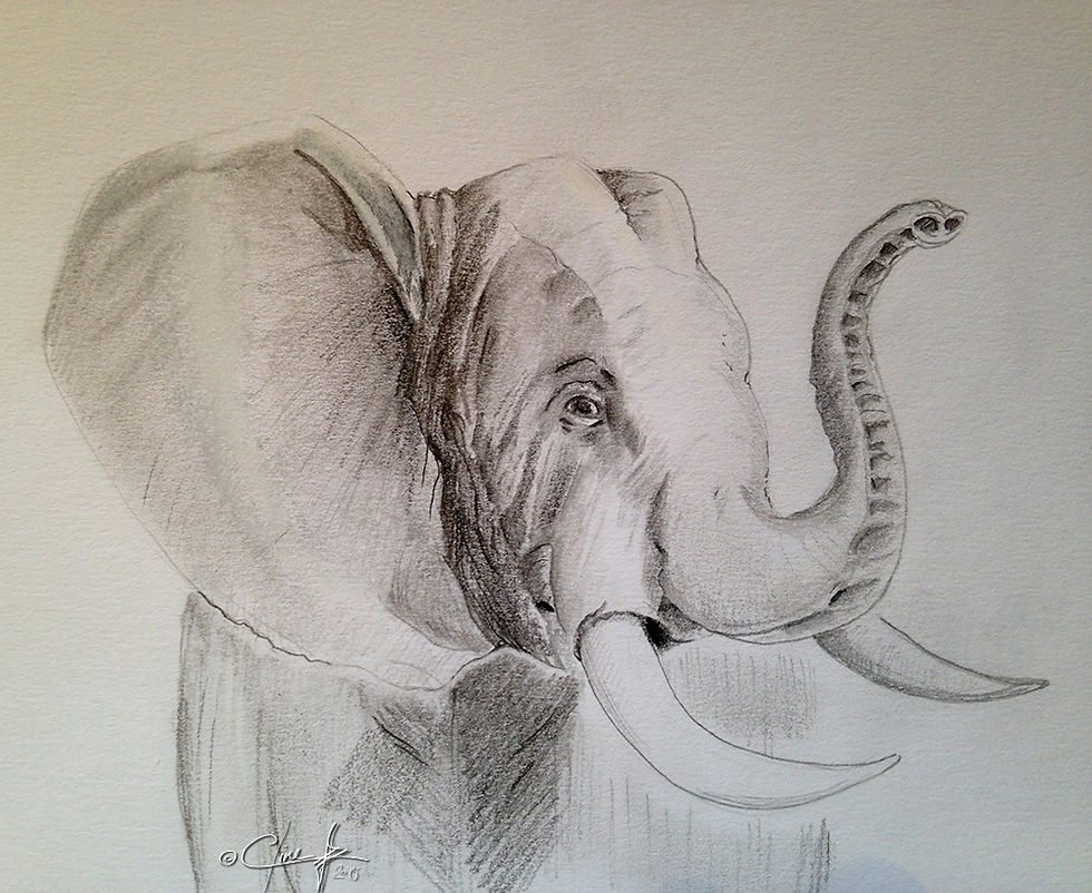 Eléphant