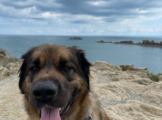 WhatsApp Image 2022-08-02 at 16.33.11.jpeg