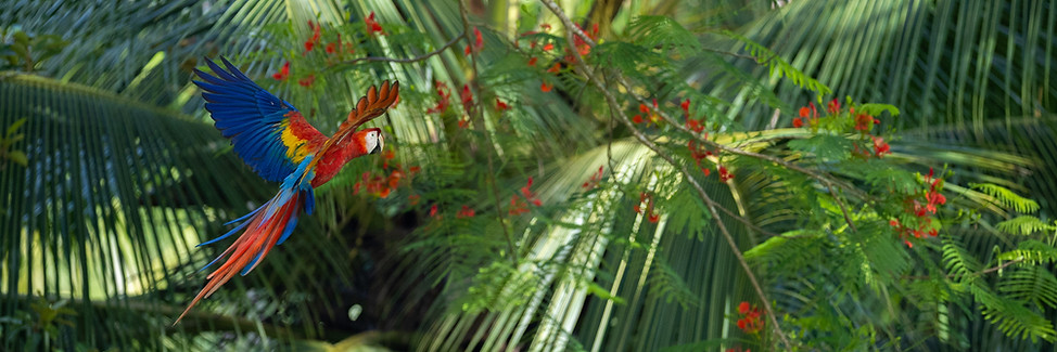 Titelbild Costa Rica Spezial.jpg